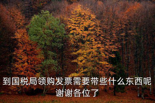 去國稅領(lǐng)發(fā)票需要帶什么，國稅領(lǐng)取發(fā)票需帶什么材料不是初次領(lǐng)購