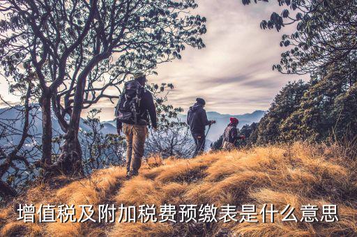 增值稅預(yù)繳表是什么意思，增值稅預(yù)征是什么意思 eq