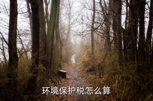 環(huán)保稅以什么為標(biāo)準(zhǔn)繳納，你認(rèn)為汽車環(huán)保稅應(yīng)該如何征收 具體點(diǎn) 謝謝