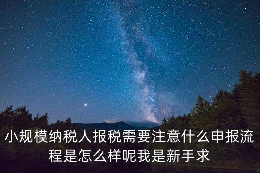 報(bào)稅需要注意什么手續(xù)，一般納稅人每個(gè)月怎么報(bào)稅報(bào)稅時(shí)要注意什么流程是怎么樣的