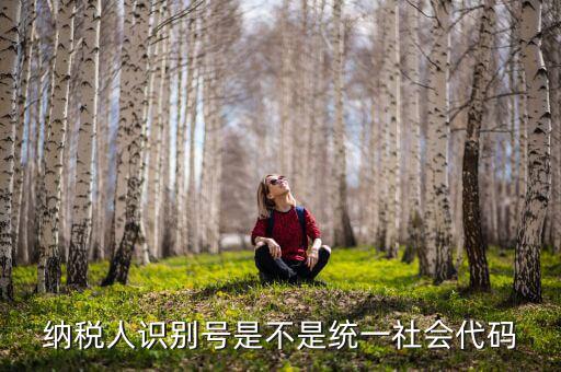 納稅人識(shí)別號(hào) 統(tǒng)一社會(huì)代碼是什么，納稅人識(shí)別號(hào)就是統(tǒng)一社會(huì)信用代碼嗎