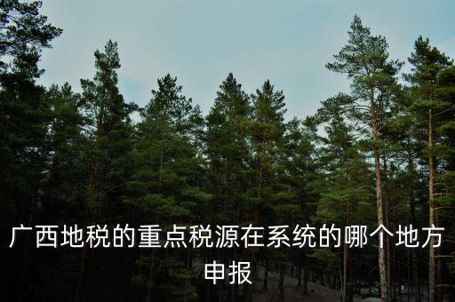 廣西地稅網(wǎng)是什么，進(jìn)入廣西地稅網(wǎng)后為什么網(wǎng)上辦稅大廳會(huì)進(jìn)不去