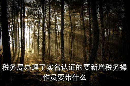 稅務(wù)局辦理了實名認證的要新增稅務(wù)操作員要帶什么