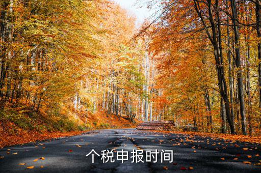 個人經(jīng)營所得稅什么時候申報，個人所得稅明細申報什么時候報