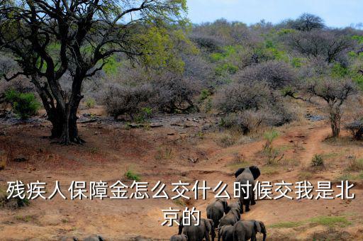 殘疾人保障金要求什么時(shí)候交，殘疾人保障金怎么交什么時(shí)候交我是北京的
