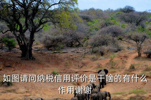 申請(qǐng)納稅信用復(fù)評(píng)需要什么資料，納稅信用評(píng)價(jià)的基本規(guī)范要求包括什么
