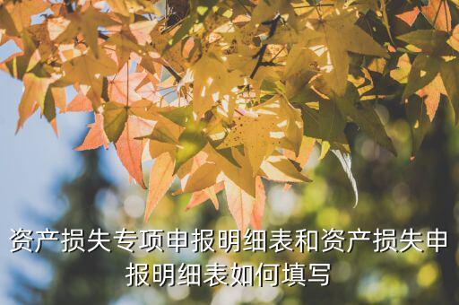 什么是專項資產(chǎn)損失申報表，所得稅申報表怎么填22資產(chǎn)損失