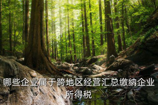 跨地區(qū)經營匯總納稅指的是什么，哪些企業(yè)屬于跨地區(qū)經營匯總繳納企業(yè)所得稅