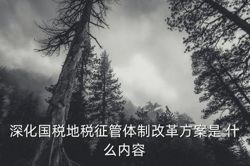 改革國稅地稅征管體制要求什么，改革國稅地稅征管體制有何意義專家推進(jìn)稅收法治建設(shè)