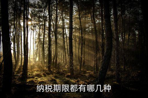 什么是資源稅納稅期限，資源稅每月征收期截止到什么時間