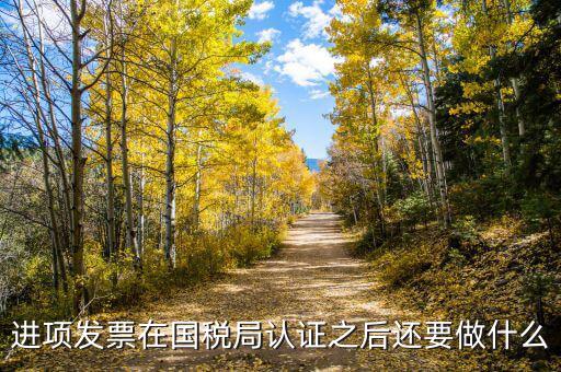 稅務(wù)認(rèn)定之后做什么，新辦企業(yè)稅務(wù)登記證下來后接下來會(huì)計(jì)該做些什么工作
