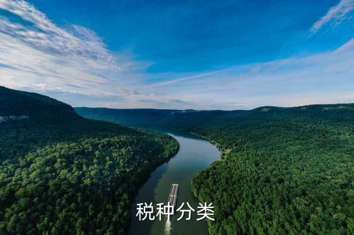 鋁制品稅收分類(lèi)屬于什么，鋁蓋屬于稅收分類(lèi)的哪一種
