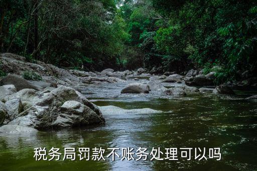 對稅務局罰款不公有什么辦法，稅務局罰款不賬務處理可以嗎