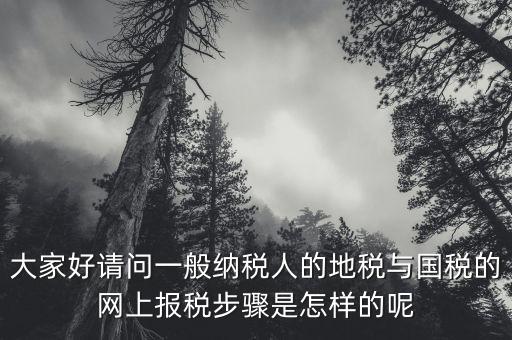 地稅用戶名是什么河北，我是新手如何使用河北地稅網(wǎng)網(wǎng)上報稅知道的老師請告知謝了