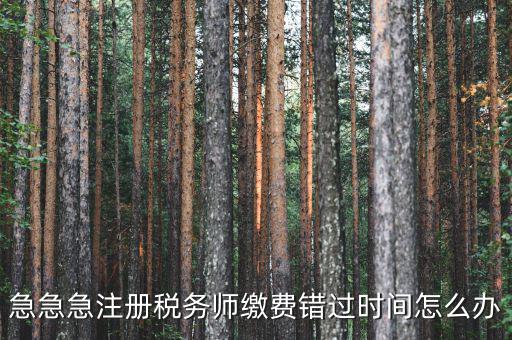 廣東省稅務(wù)師會(huì)費(fèi)什么時(shí)候交，廣州2013年的匯算清繳報(bào)告什么時(shí)候交