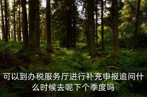 據(jù)實(shí)申報(bào)是按照什么申報(bào)，可以到辦稅服務(wù)廳進(jìn)行補(bǔ)充申報(bào)追問什么時候去呢下個季度嗎
