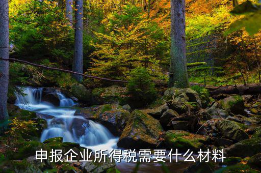 企業(yè)所得稅補(bǔ)申報(bào)需要什么，申報(bào)企業(yè)所得稅需要什么材料