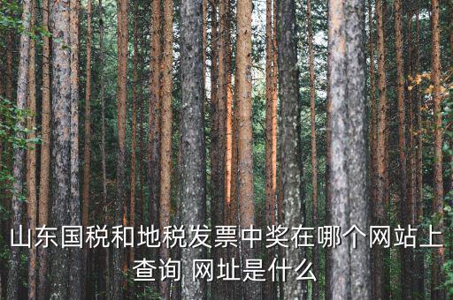 發(fā)票領用什么網站，誰知道發(fā)票兌獎上那個網站
