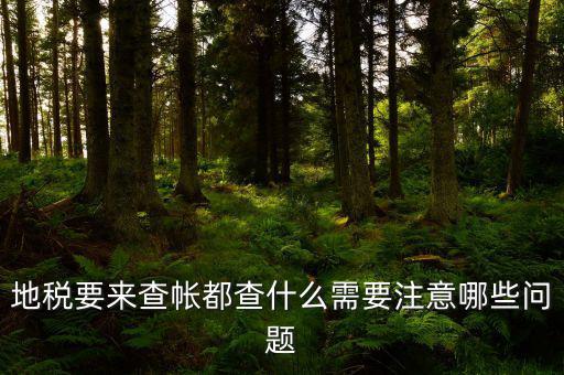 地稅主要查什么，地稅查賬一般都查哪些方面呢