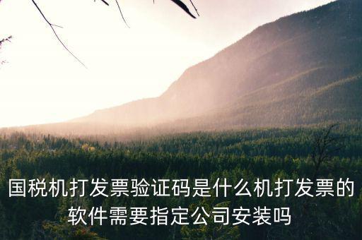 北京國稅電子發(fā)票驗證密碼是什么，國稅局發(fā)票軟件里用戶代碼和密碼是什么
