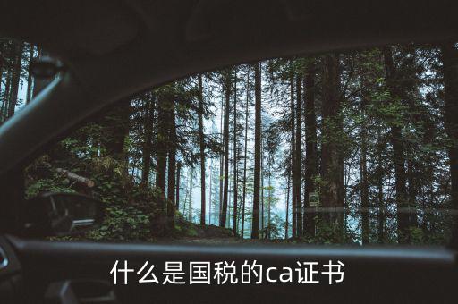 ca稅務(wù)數(shù)字證書是什么，什么是國(guó)稅的ca證書