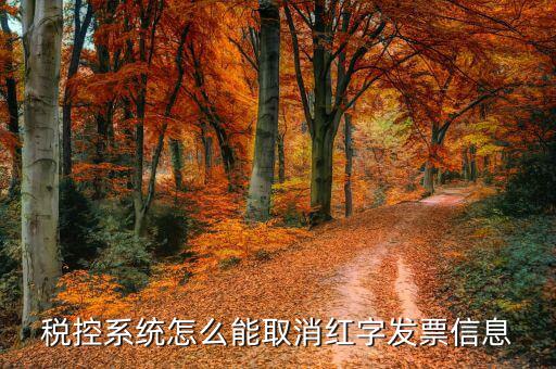 撤銷紅字信息表需要什么，我是購貨方開具紅字信息表錯誤去稅務局撤銷信息表查看描寫