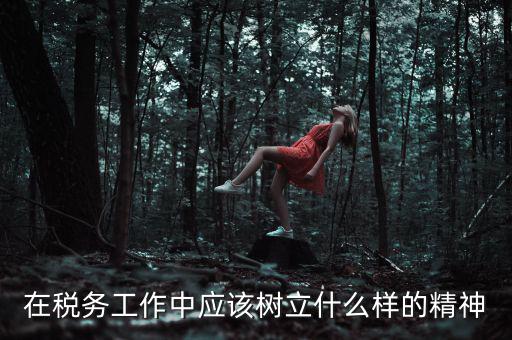 中國稅務精神是什么2018，在稅務工作中應該樹立什么樣的精神