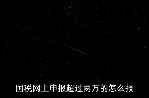 國稅網(wǎng)報入口是什么，怎樣才能進(jìn)入小規(guī)模納稅人增值稅網(wǎng)上申報系統(tǒng)