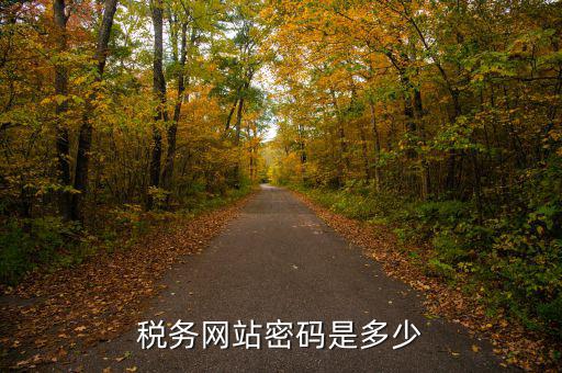國(guó)稅登陸用戶名密碼是什么，電子稅務(wù)局密碼怎么查