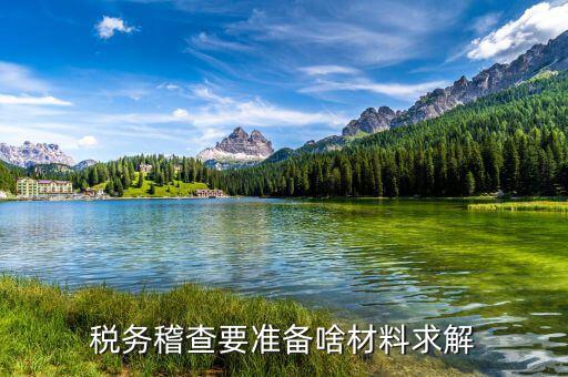 稅收調(diào)查需要什么資料，稅務(wù)檢查調(diào)閱企業(yè)會計資料需要辦理什么手續(xù)