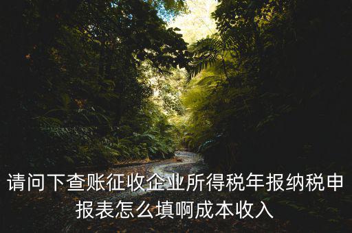 企業(yè)所得稅申報(bào)查賬是什么表，剛注冊(cè)了一個(gè)小規(guī)模的公司企業(yè)所得稅是查帳征收企業(yè)所得稅報(bào)表