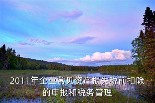 什么是資產(chǎn)損失屬于清單申報，資產(chǎn)損失稅前扣除什么是清單申報專項申報