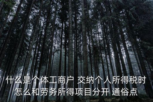 什么叫個體工商戶經(jīng)營所得，個體工商戶的生產(chǎn)經(jīng)營所得是指什么