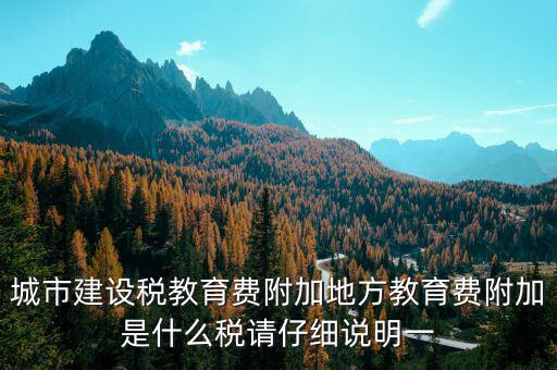 地方附加稅是什么，城市建設(shè)稅教育費附加地方教育費附加是什么稅請仔細說明一