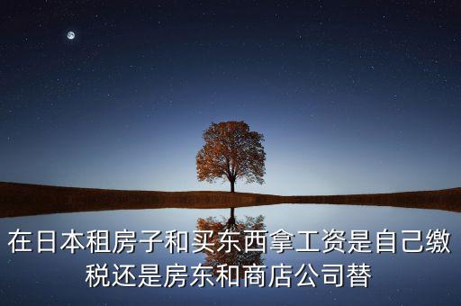 日本租稅法是什么稅，在日本租房子和買東西拿工資是自己繳稅還是房東和商店公司替