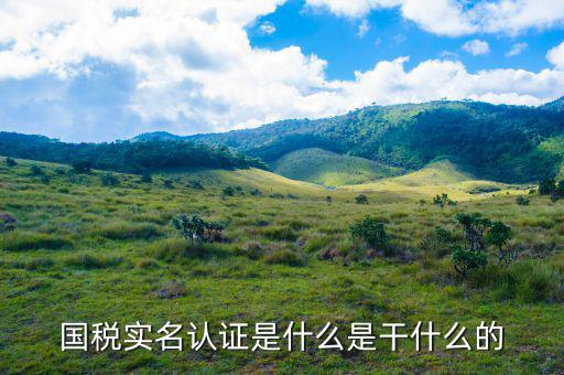 深圳國稅實名認證到什么時候，電子稅務局實名認證有時間限制嗎