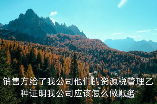 什么叫資源稅甲乙種證明，銷售方給了我公司他們的資源稅管理乙種證明我公司應(yīng)該怎么做賬務(wù)