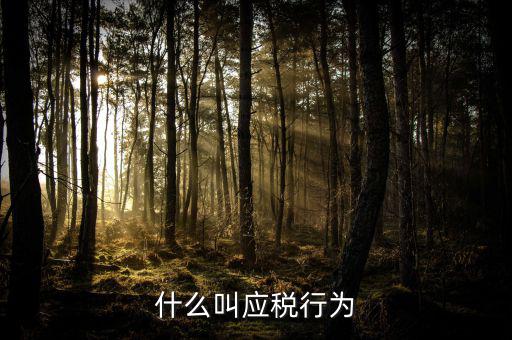 什么為應(yīng)稅污染，什么是污染