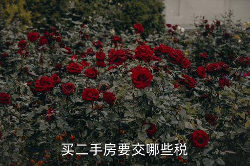 買二手公建房交什么稅，買二手房要交哪些稅