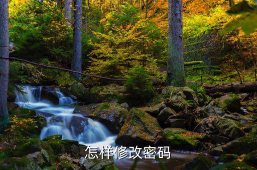怎樣改國稅密碼是什么，山東省國家稅務局網(wǎng)上辦稅平臺納稅人的密碼怎么改