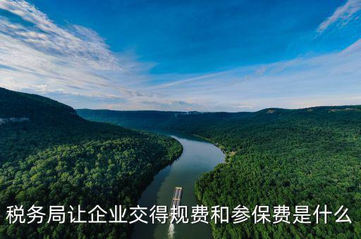 稅務(wù)局收什么保險(xiǎn)，稅務(wù)局讓企業(yè)交得規(guī)費(fèi)和參保費(fèi)是什么