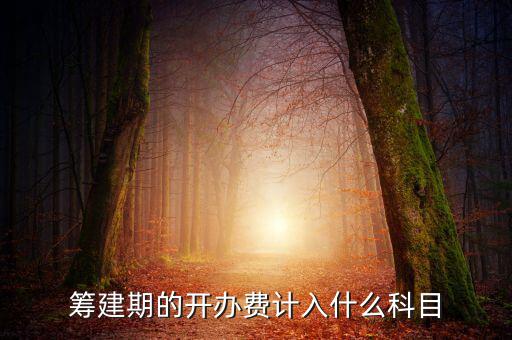 公司籌建期的費(fèi)用計入什么科目，籌建期的開辦費(fèi)計入什么科目