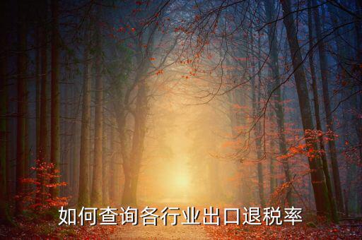 如何查詢退稅率，查詢出口退稅率
