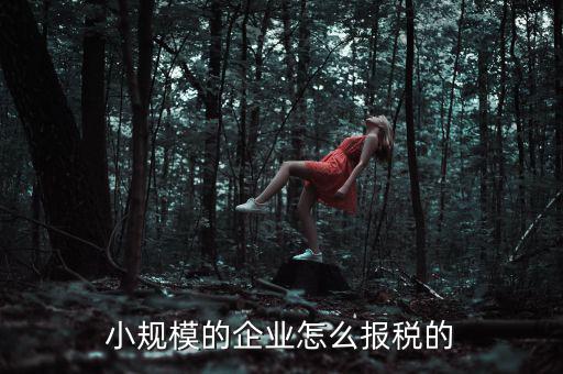小規(guī)模納稅人如何申報(bào)，小規(guī)模增值稅申報(bào)流程