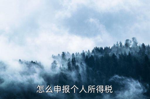 如何申報(bào)個(gè)人所得稅，怎么申報(bào)個(gè)人所得稅