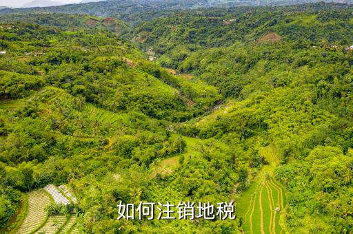如何注銷地稅，如何注銷地稅