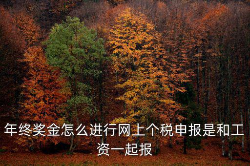 年終獎(jiǎng)個(gè)稅如何申報(bào)，年終獎(jiǎng)怎樣申報(bào)個(gè)稅