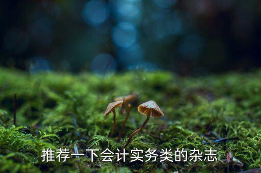 納稅這個期刊如何，推薦一下會計實務(wù)類的雜志