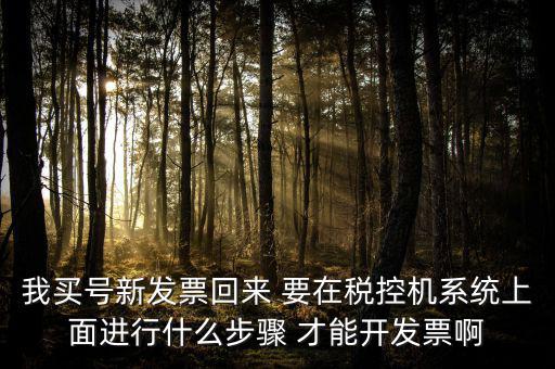 稅控系統(tǒng)如何開票，我買號新發(fā)票回來 要在稅控機(jī)系統(tǒng)上面進(jìn)行什么步驟 才能開發(fā)票啊