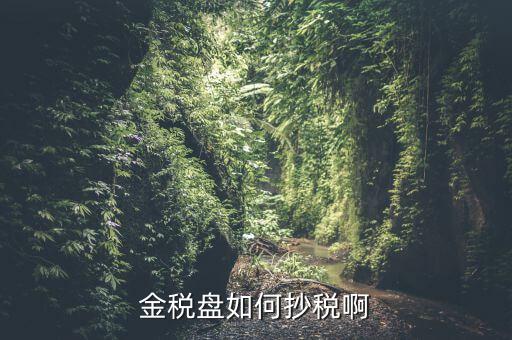 金稅盤如何抄報(bào)稅，金稅盤如何抄稅啊